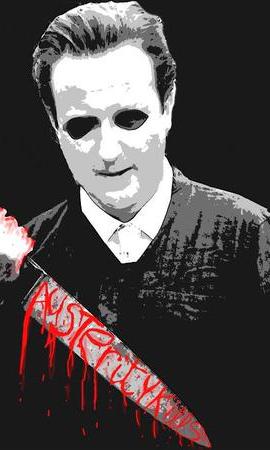 Camerons Austerity