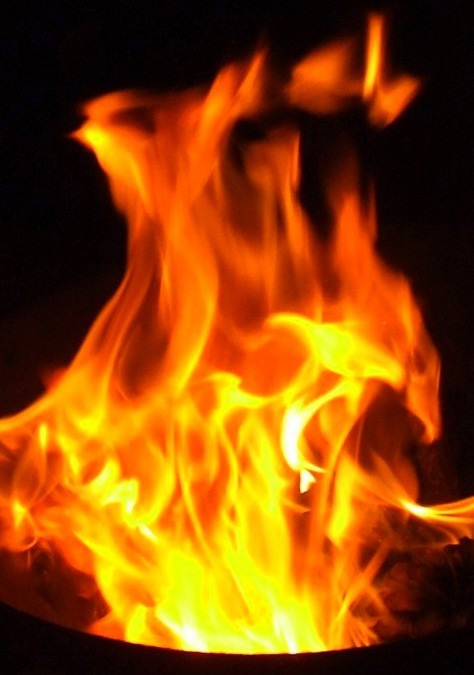 Team 56’s Baptism of Fire