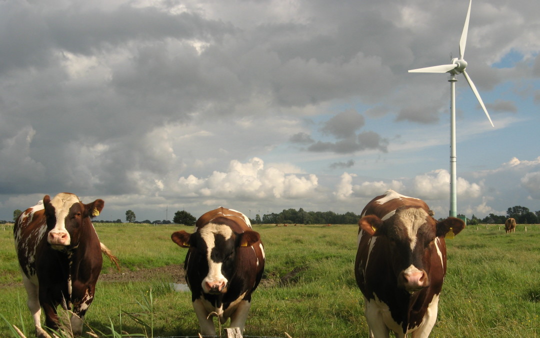 fracking and the death of the green society