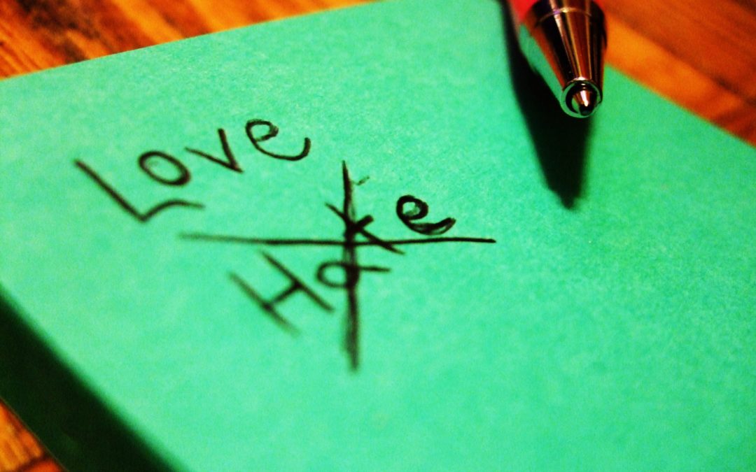 What Have Love and Hate Got to Do With It? | TURN LEFT and Make June the End of May