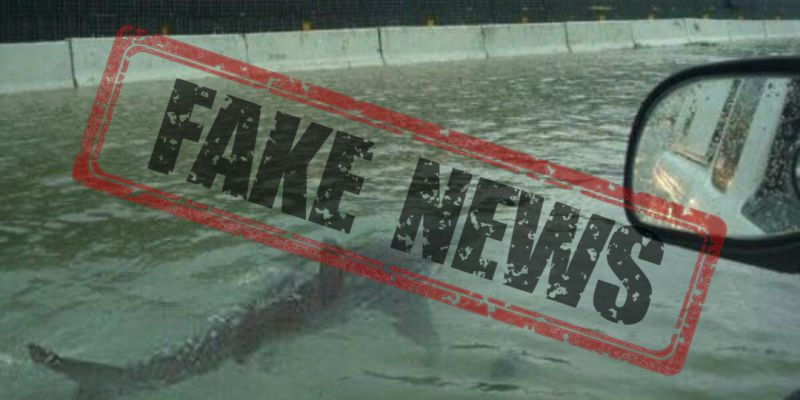 Accidental ‘Fake News’ Experiment
