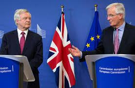 A CLUELESS DELUSIONAL BREXIT.
