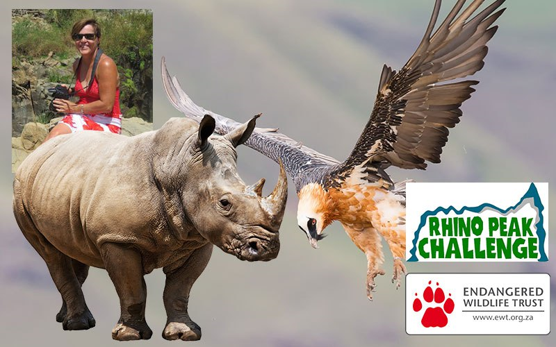 The race is on, this World Rhino Day!