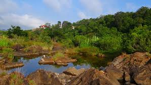 India’s Environment Protection Act, 1986