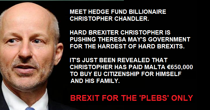 Leading hard brexiter buys EU citizenship for himself and his family