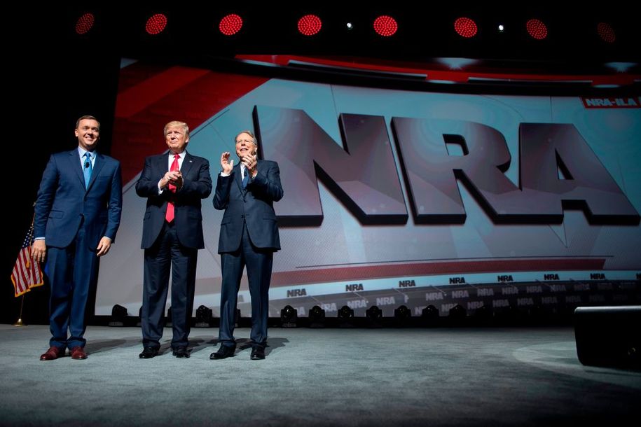 Does Your Friend Own a Gun?