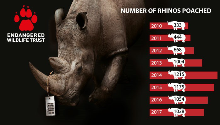 The Endangered Wildlife Trust responds to the latest report on rhino poaching figures