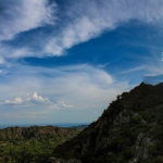 Putting our money where our mouth is! Announcing the first EWT owned and managed nature reserve
