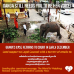 #Ganga needs Help please send an Email